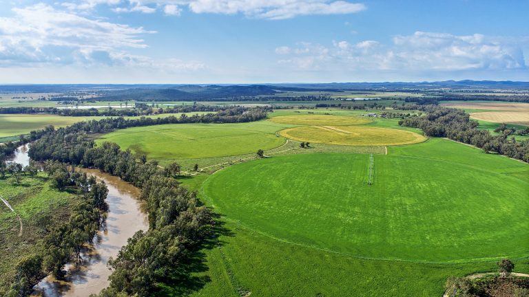 6 bedroom mixed farming property at 224R Narromine Road, Dubbo NSW 2830 - photo 2