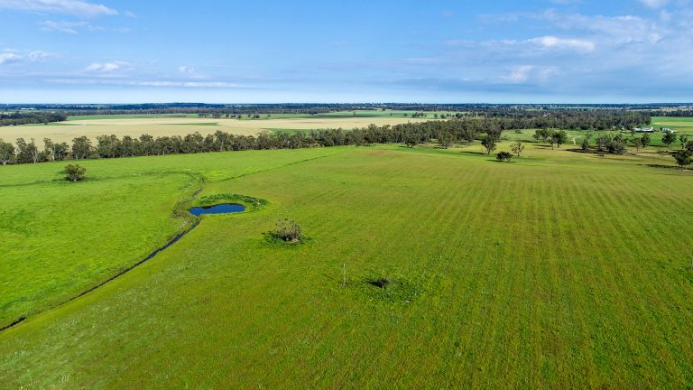 6 bedroom mixed farming property at 224R Narromine Road, Dubbo NSW 2830 - photo 11