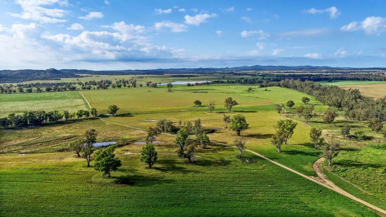 6 bedroom mixed farming property at 224R Narromine Road, Dubbo NSW 2830 - photo 12