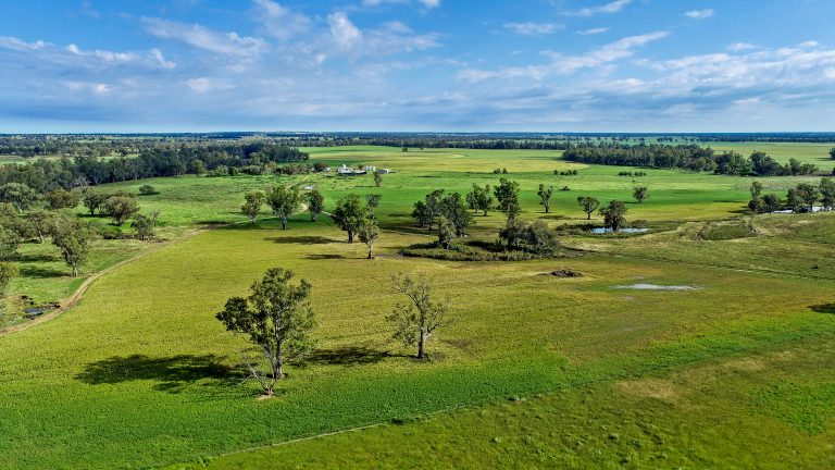 6 bedroom mixed farming property at 224R Narromine Road, Dubbo NSW 2830 - photo 13