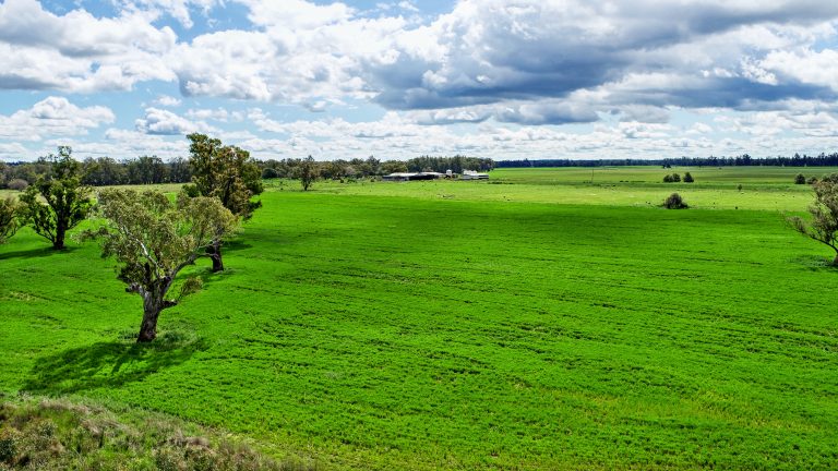 6 bedroom mixed farming property at 224R Narromine Road, Dubbo NSW 2830 - photo 14