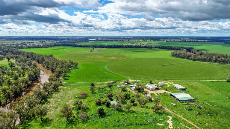 6 bedroom mixed farming property at 224R Narromine Road, Dubbo NSW 2830 - photo 15