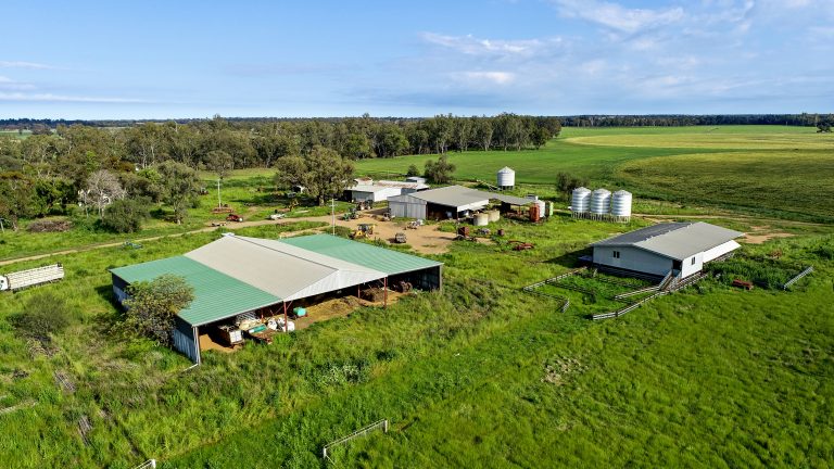 6 bedroom mixed farming property at 224R Narromine Road, Dubbo NSW 2830 - photo 24