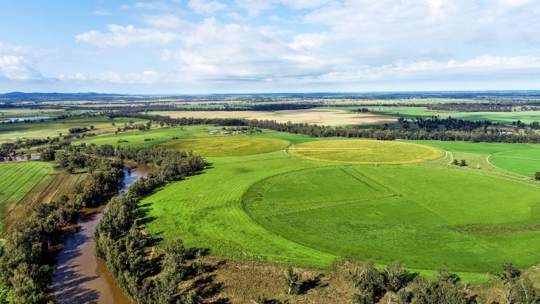 6 bedroom mixed farming property at 224R Narromine Road, Dubbo NSW 2830 - photo 25