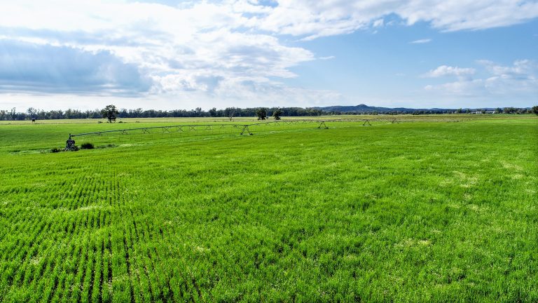 6 bedroom mixed farming property at 224R Narromine Road, Dubbo NSW 2830 - photo 4
