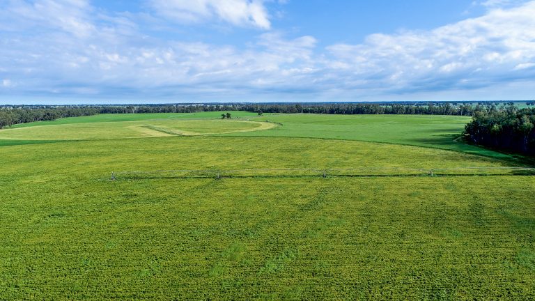 6 bedroom mixed farming property at 224R Narromine Road, Dubbo NSW 2830 - photo 5
