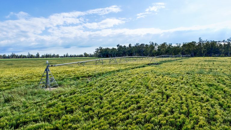 6 bedroom mixed farming property at 224R Narromine Road, Dubbo NSW 2830 - photo 6