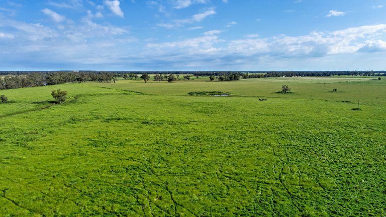 6 bedroom mixed farming property at 224R Narromine Road, Dubbo NSW 2830 - photo 9