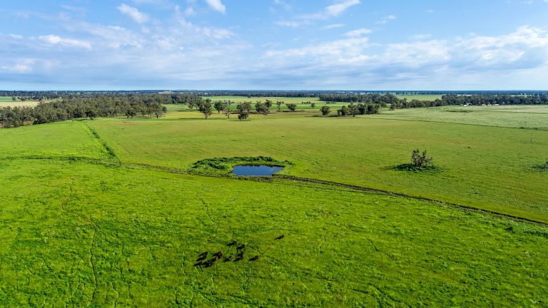 6 bedroom mixed farming property at 224R Narromine Road, Dubbo NSW 2830 - photo 10