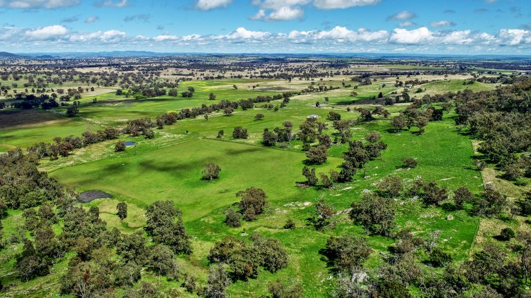 Lifestyle property at 4660 Goolma Road, Wellington NSW 2820 - photo 13