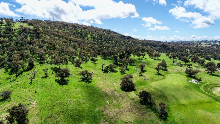 Lifestyle property at 4660 Goolma Road, Wellington NSW 2820 - photo 6