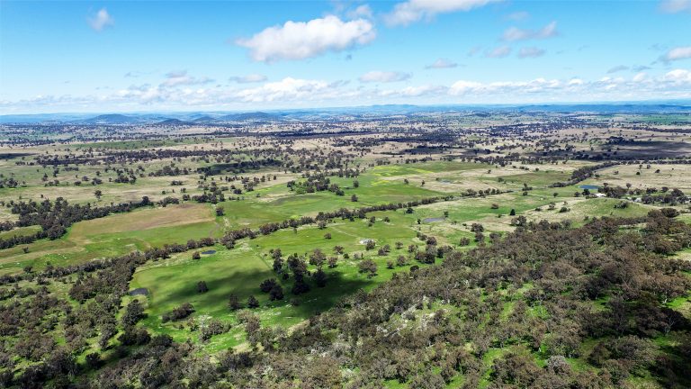 Lifestyle property at 4660 Goolma Road, Wellington NSW 2820 - photo 7