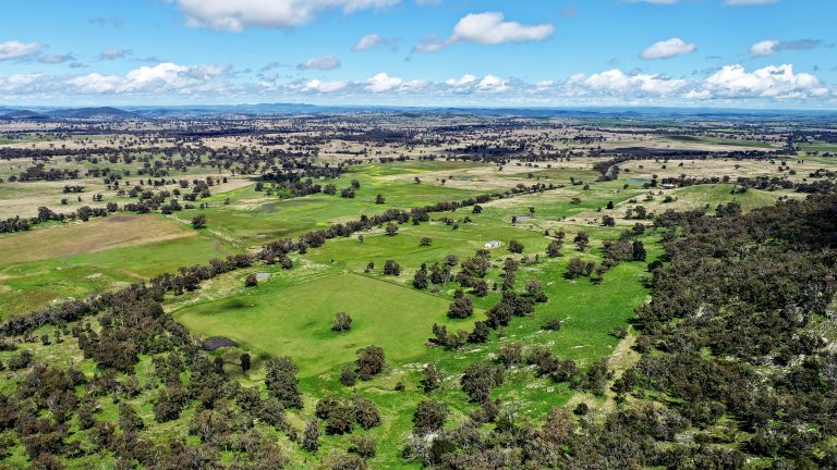 Lifestyle property at 4660 Goolma Road, Wellington NSW 2820 - photo 8