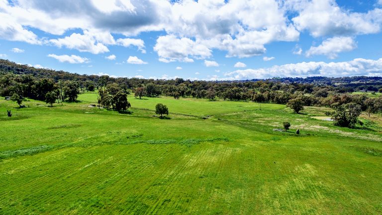 Lifestyle property at 4660 Goolma Road, Wellington NSW 2820 - photo 9