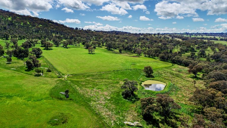 Lifestyle property at 4660 Goolma Road, Wellington NSW 2820 - photo 10