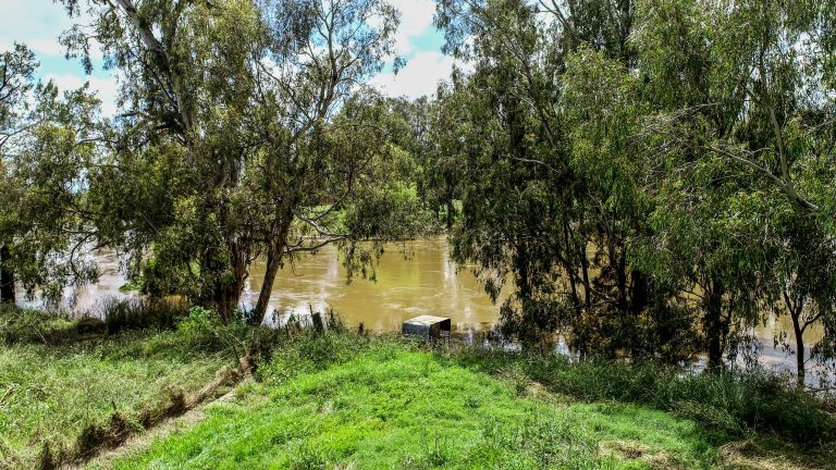 4 bedroom lifestyle property at 48L Obley Road, Dubbo NSW 2830 - photo 2