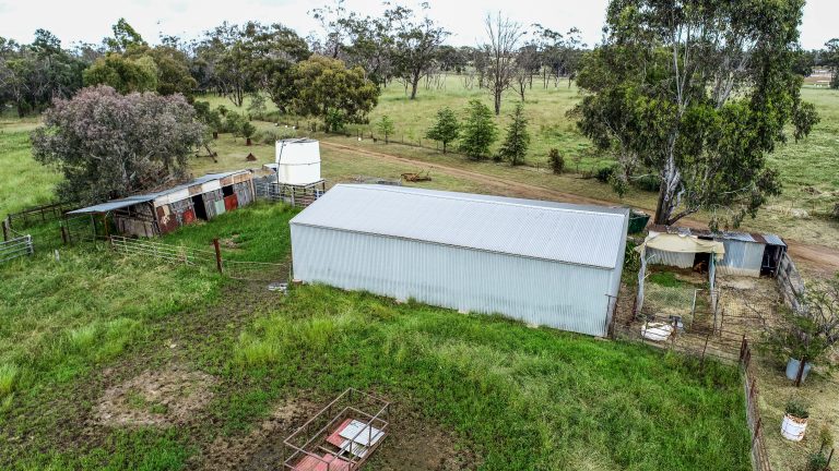 4 bedroom lifestyle property at 48L Obley Road, Dubbo NSW 2830 - photo 13