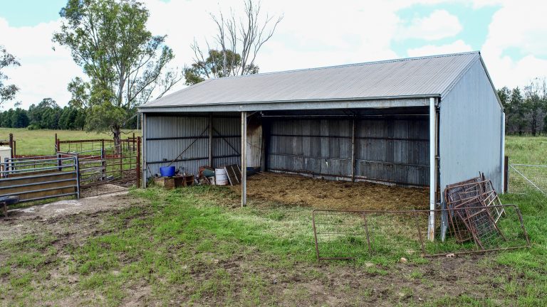 4 bedroom lifestyle property at 48L Obley Road, Dubbo NSW 2830 - photo 14