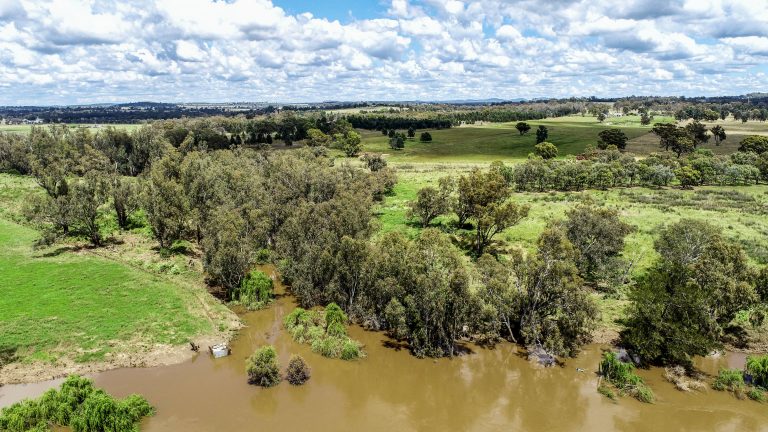 4 bedroom lifestyle property at 48L Obley Road, Dubbo NSW 2830 - photo 16