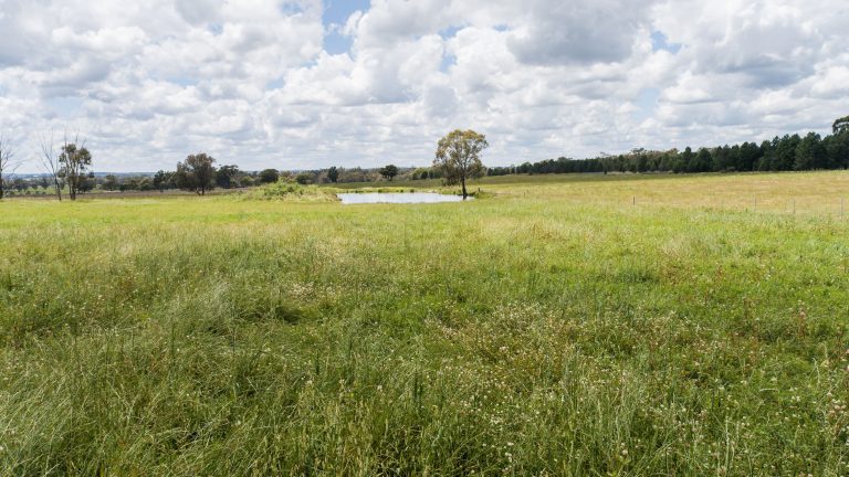 4 bedroom lifestyle property at 48L Obley Road, Dubbo NSW 2830 - photo 5