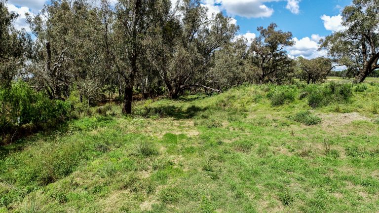 4 bedroom lifestyle property at 48L Obley Road, Dubbo NSW 2830 - photo 6