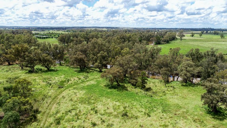 4 bedroom lifestyle property at 48L Obley Road, Dubbo NSW 2830 - photo 7