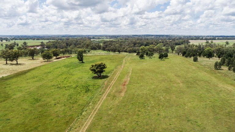 4 bedroom lifestyle property at 48L Obley Road, Dubbo NSW 2830 - photo 9