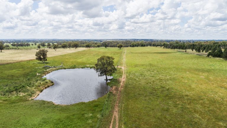 4 bedroom lifestyle property at 48L Obley Road, Dubbo NSW 2830 - photo 10