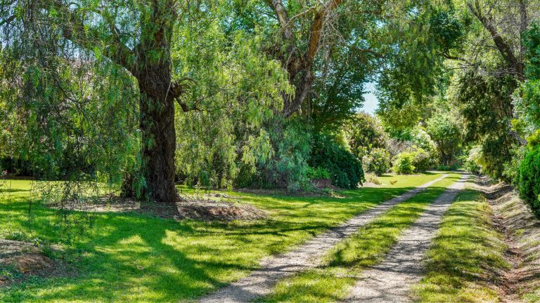 5 bedroom house at 392 Mitchell Highway, Wellington NSW 2820 - photo 23