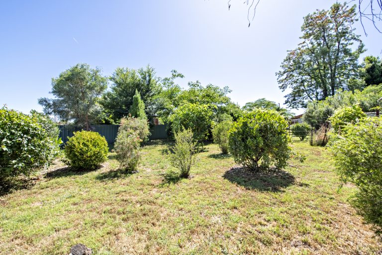 3 bedroom house at 33 Gipps Street, Wellington NSW 2820 - photo 16