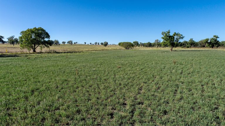 3 bedroom lifestyle property at 434 Curra Creek Road, Wellington NSW 2820 - photo 7