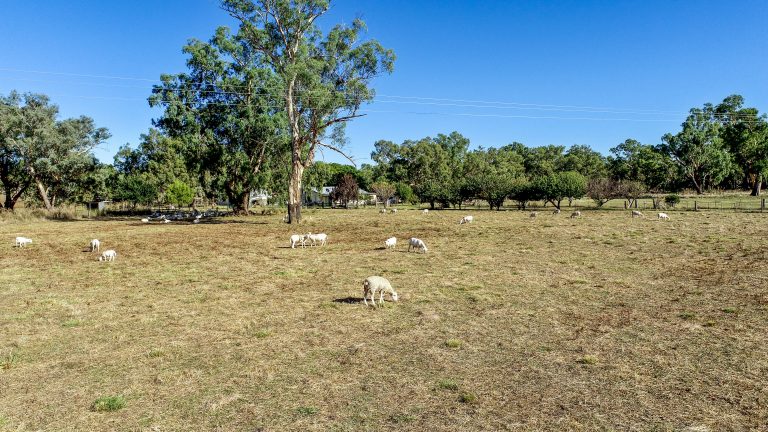 3 bedroom lifestyle property at 434 Curra Creek Road, Wellington NSW 2820 - photo 9