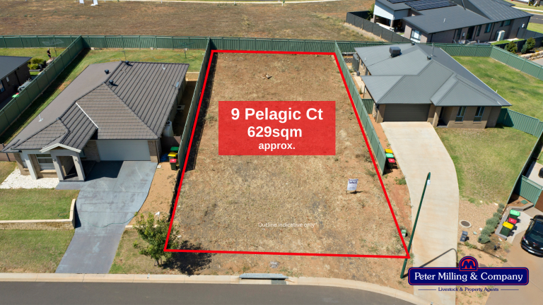 Land at 9 Pelagic Court, Dubbo NSW 2830 - photo 2