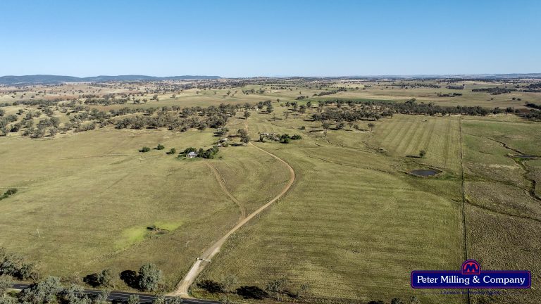 4 bedroom mixed farming property at 11 Karoo Lane, Wellington NSW 2820 - photo 2