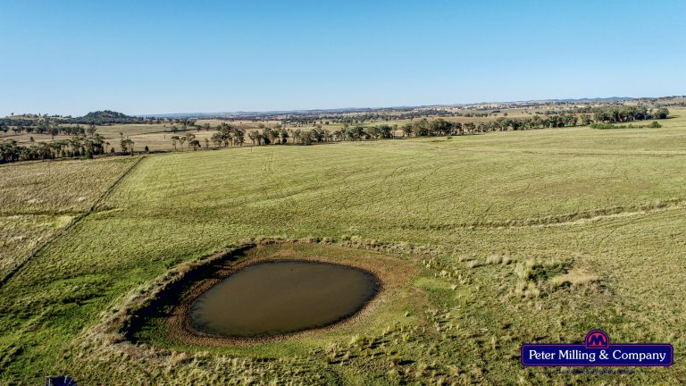 4 bedroom mixed farming property at 11 Karoo Lane, Wellington NSW 2820 - photo 11