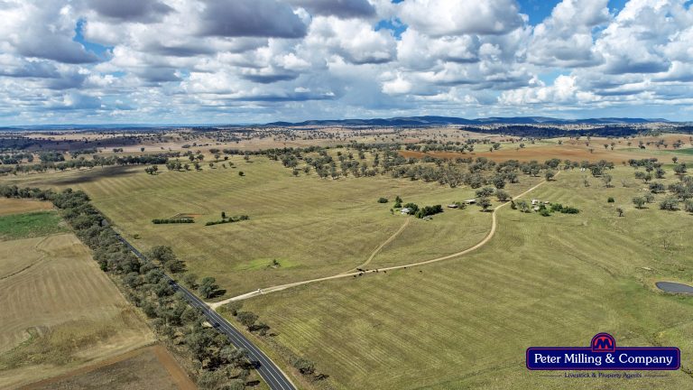 4 bedroom mixed farming property at 11 Karoo Lane, Wellington NSW 2820 - photo 14