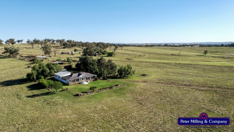 4 bedroom mixed farming property at 11 Karoo Lane, Wellington NSW 2820 - photo 16