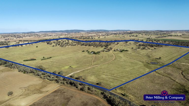 4 bedroom mixed farming property at 11 Karoo Lane, Wellington NSW 2820 - photo 3