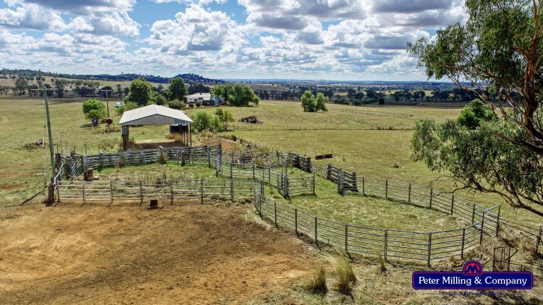 4 bedroom mixed farming property at 11 Karoo Lane, Wellington NSW 2820 - photo 23