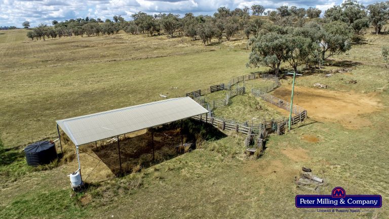 4 bedroom mixed farming property at 11 Karoo Lane, Wellington NSW 2820 - photo 24