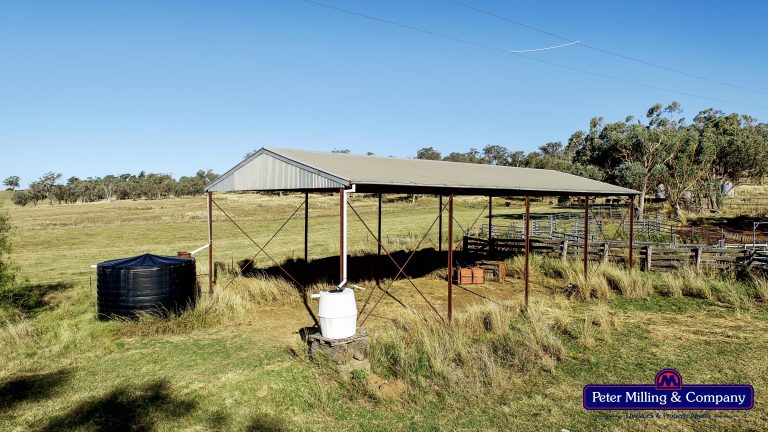 4 bedroom mixed farming property at 11 Karoo Lane, Wellington NSW 2820 - photo 25
