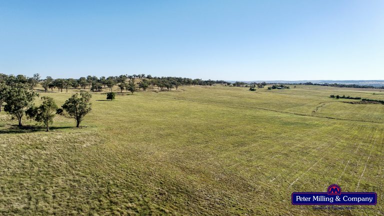 4 bedroom mixed farming property at 11 Karoo Lane, Wellington NSW 2820 - photo 5