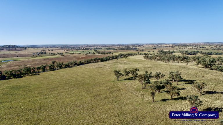 4 bedroom mixed farming property at 11 Karoo Lane, Wellington NSW 2820 - photo 6