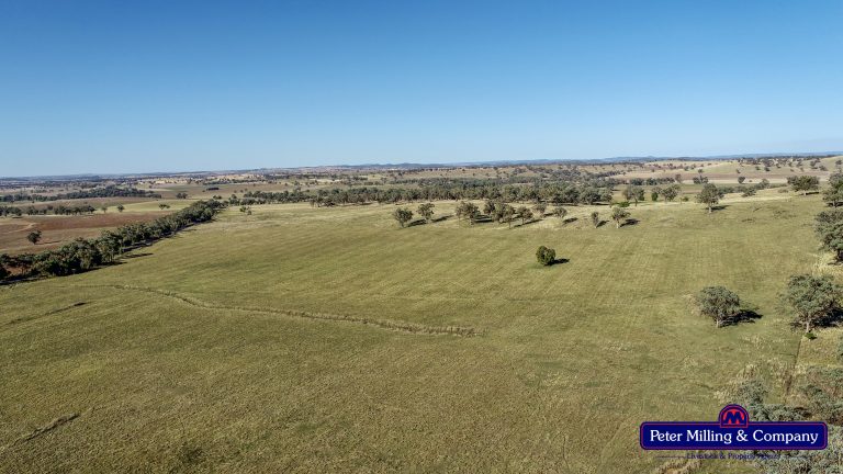 4 bedroom mixed farming property at 11 Karoo Lane, Wellington NSW 2820 - photo 7
