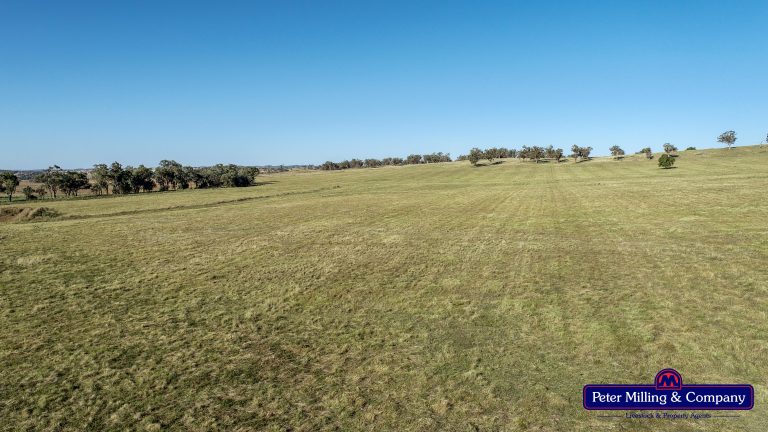 4 bedroom mixed farming property at 11 Karoo Lane, Wellington NSW 2820 - photo 8
