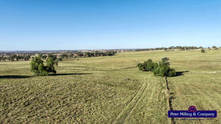 4 bedroom mixed farming property at 11 Karoo Lane, Wellington NSW 2820 - photo 9