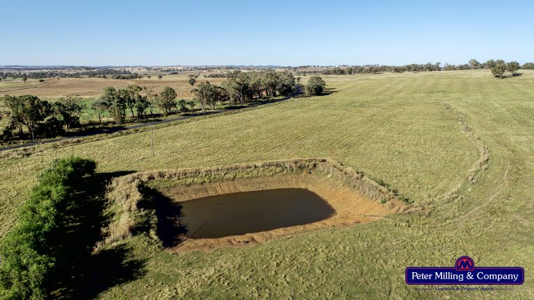 4 bedroom mixed farming property at 11 Karoo Lane, Wellington NSW 2820 - photo 10