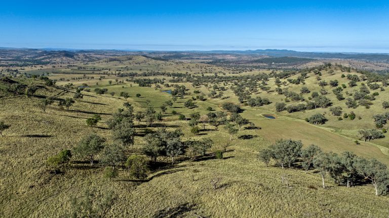 4 bedroom mixed farming property at 214 Brookfield Road, Wellington NSW 2820 - photo 11