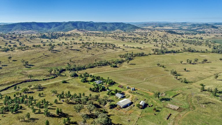 4 bedroom mixed farming property at 214 Brookfield Road, Wellington NSW 2820 - photo 12