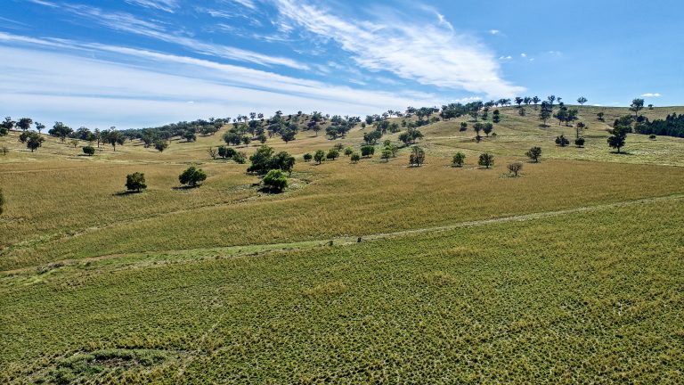 4 bedroom mixed farming property at 214 Brookfield Road, Wellington NSW 2820 - photo 14